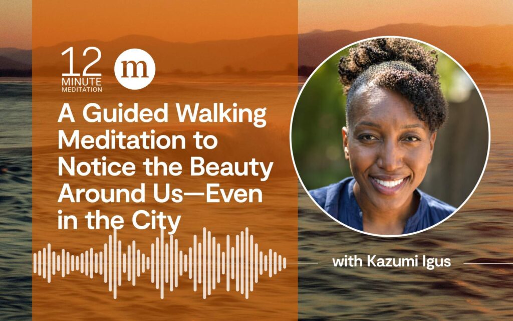 12mm kazumi igus a guided walking meditation to notice the beauty around us—even in the city 1.jpg