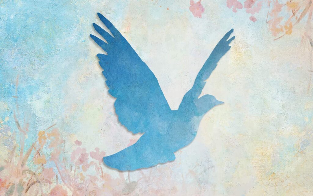 article20header democracy20does20not20work20without20mindfulness 1.jpeg