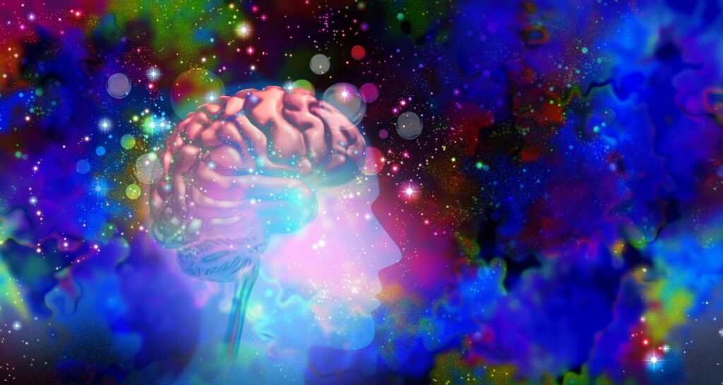 What occurs within the mind on psychedelics? Scientists establish a not unusual circuit development What occurs within the mind on psychedelics? Scientists establish a not unusual circuit development