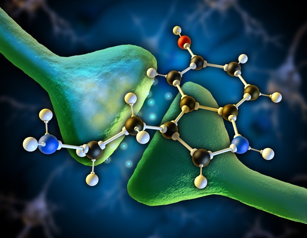 serotonin 620x480.jpg