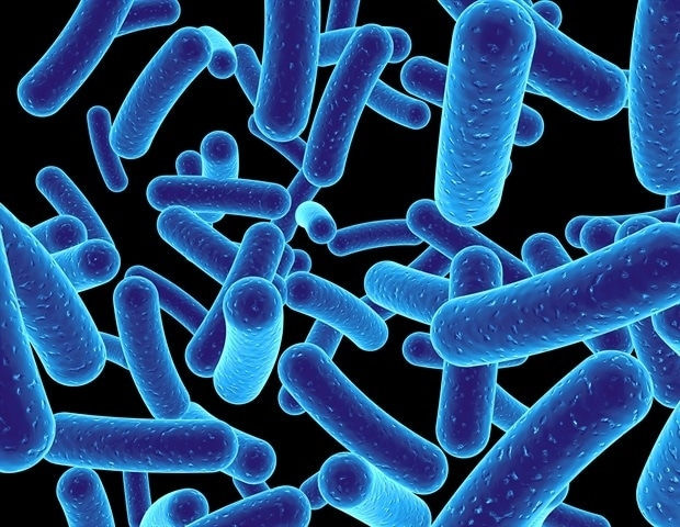 Engineered intestine micro organism effectively deal with metabolic drivers of liver illness bacteria sebastian kaulitzki 46826fb7971649bfaca04a9b4cef3309 620x480.jpg
