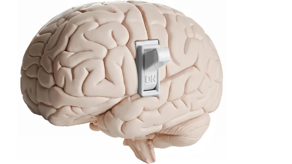 Scientists uncover hidden mind transfer that tells you to forestall consuming Scientists uncover hidden mind transfer that tells you to forestall consuming