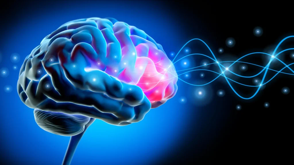 brain waves neural activity signals.webp.webp