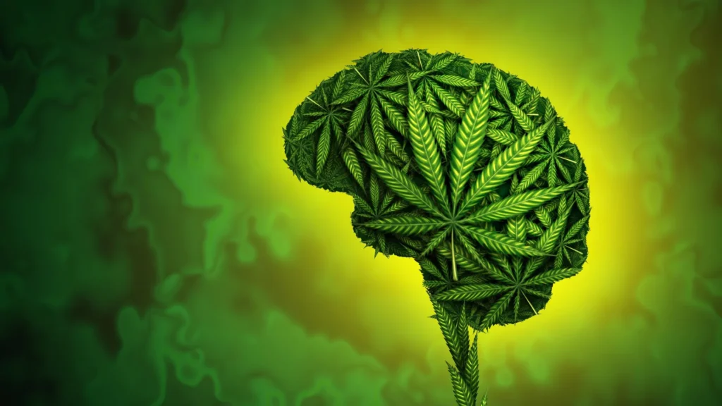 Cannabis Effects Brain Mental Health.webp 1024x576