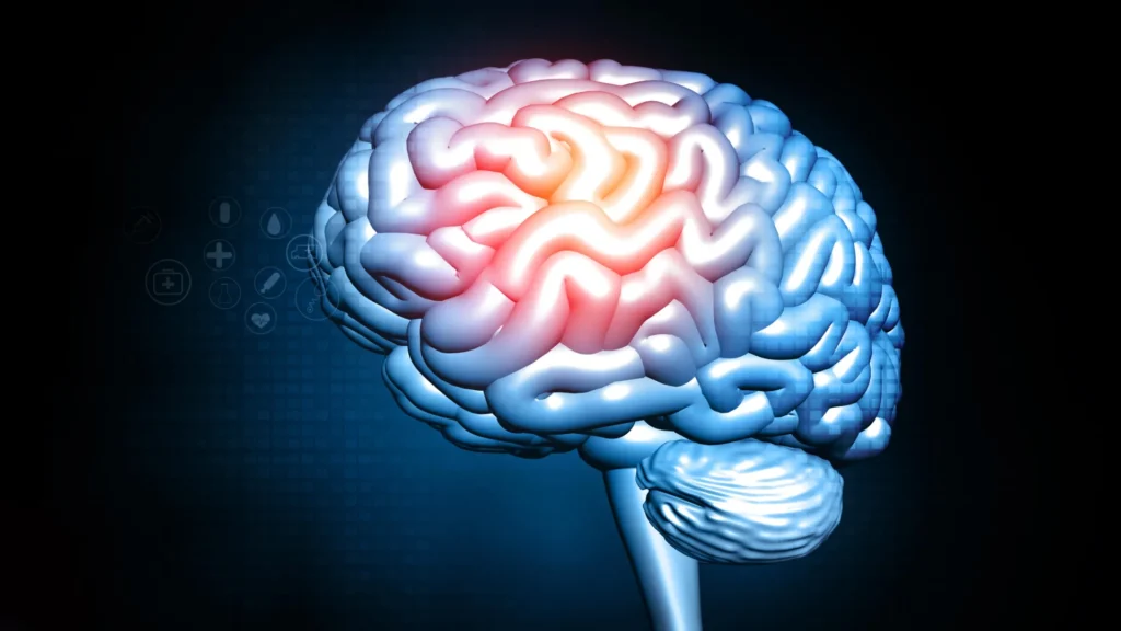 One protein would possibly make a decision whether or not mind chemistry heals or harms human brain inflammation stress injury damage.webp.webp