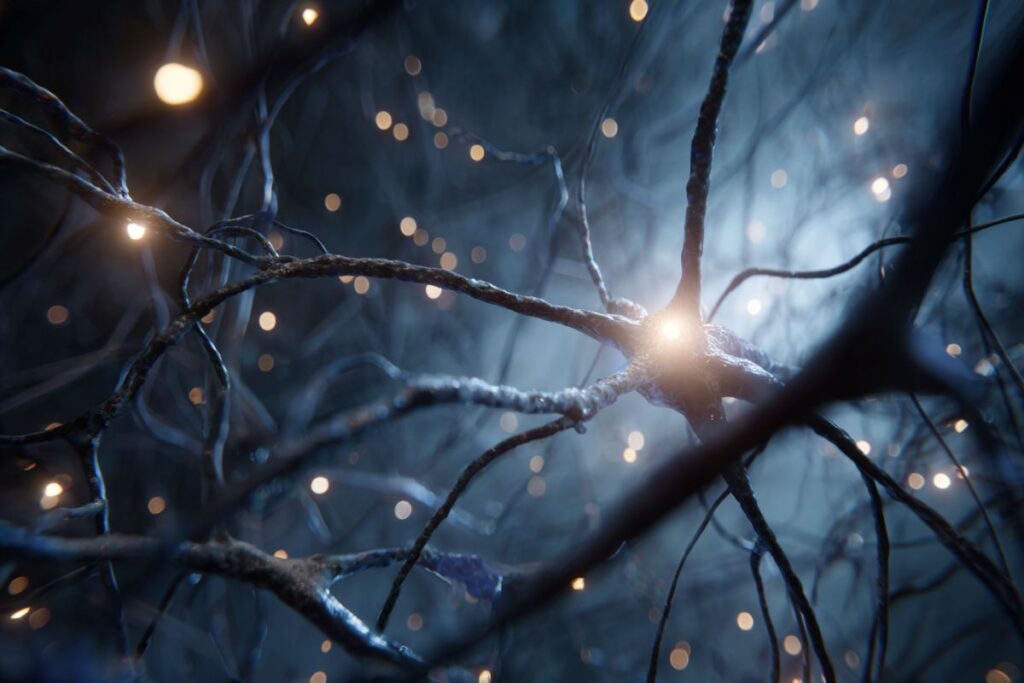 neurogenesis birds neuroscience.jpg