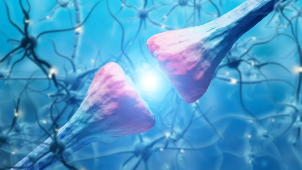 Scientists uncover the mind protein that drives cocaine relapse neuroscience brain cells synapse communication.webp.webp