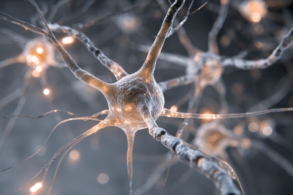 printable neurons neuroscience.jpg