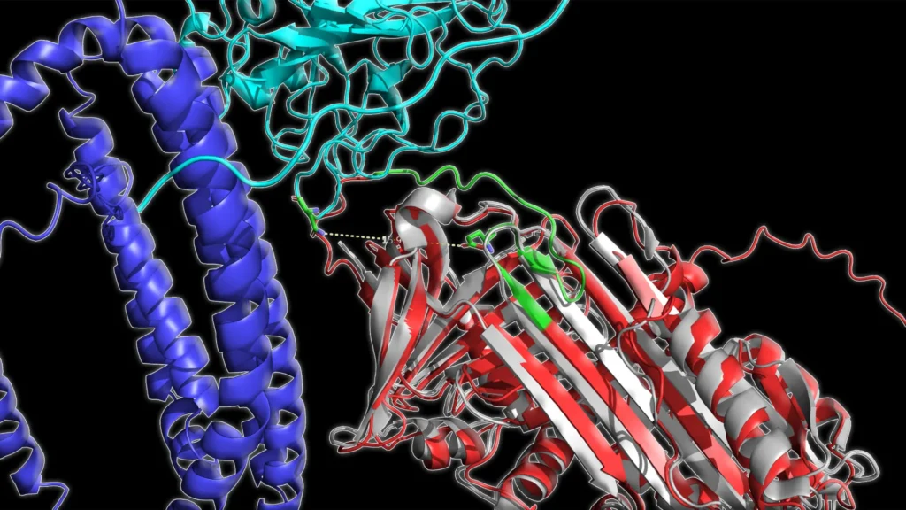 protein shapes track alzheimers progression.webp.webp