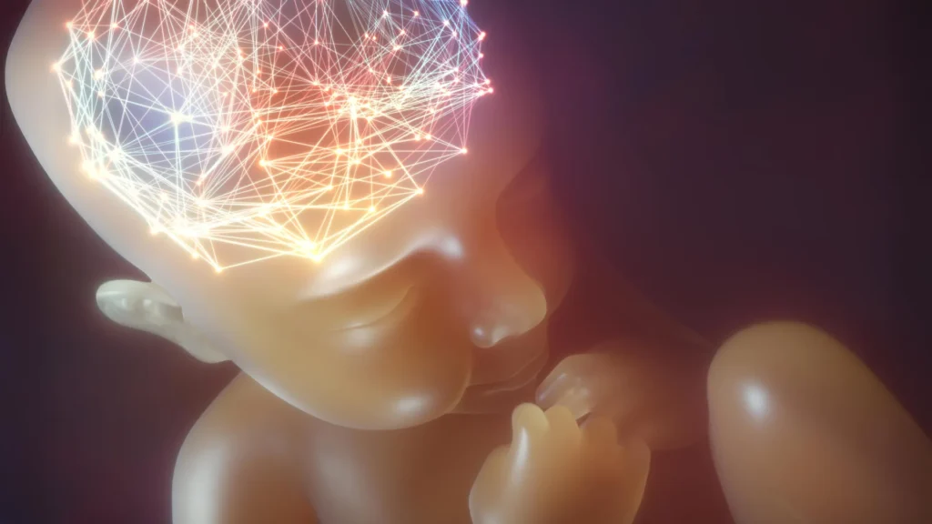brain neural network human baby in womb.webp.webp