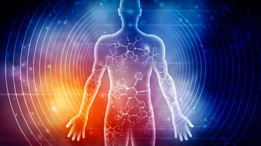 Scientists disclose how seven days of fasting transforms the human frame human nutrition male muscle body biochemistry.webp.webp