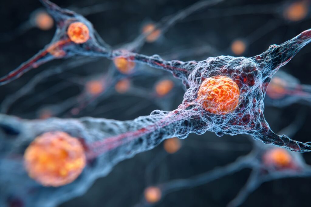 il4 brain cancer neuroscience.jpg