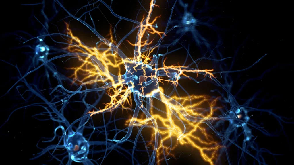 neurons electrical signal regeneration.webp.webp