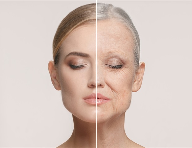 shutterstock 1028141632 649cad8889c647fc8d0bd83bf7503e08 620x480.jpg