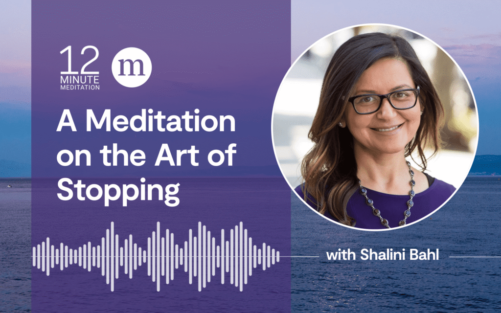 A Meditation at the Artwork of Preventing (Prolonged) 12mm shalini bahl a meditation on the art of stopping.png