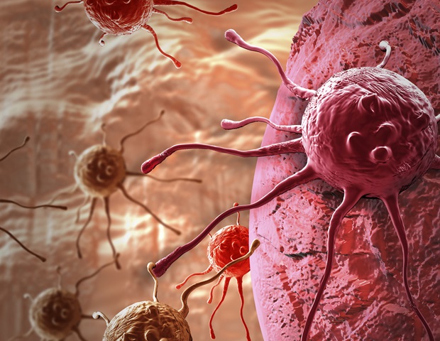 Device studying device predicts monetary toxicity for most cancers sufferers 174318220 620x480.jpg