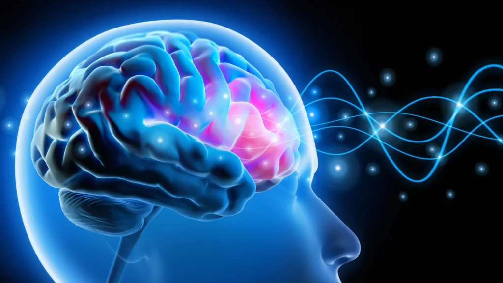Scientists opposite anxiousness via solving a tiny mind circuit head brain waves neural activity signals.webp.webp